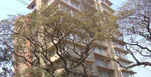 4 BHK Penthouse For Rent At Seasons Residency, Willingdon, Santacruz West.