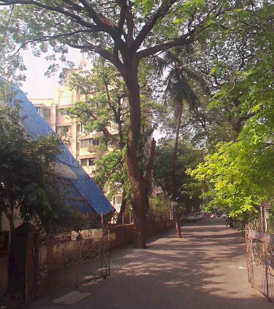 Greenfield, Juhu