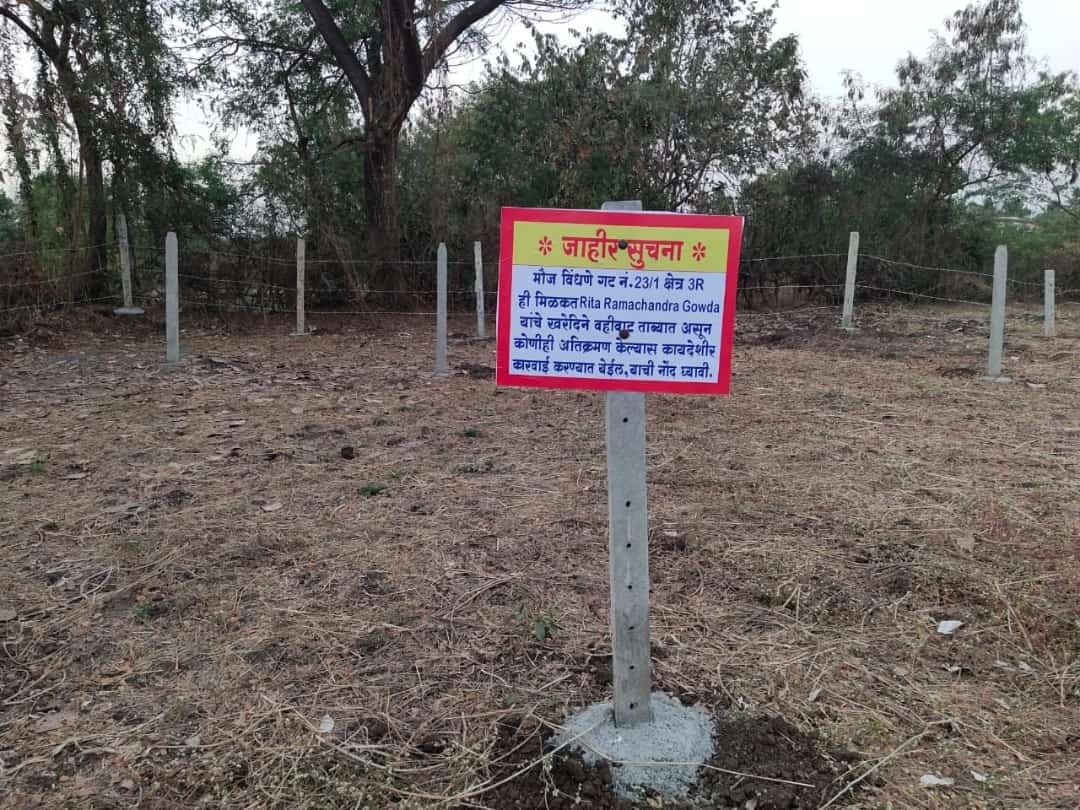 Plot 