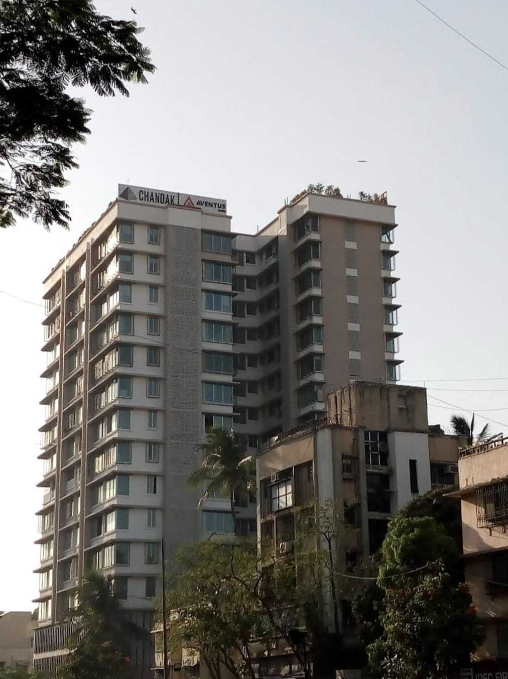 Ideal 49, Juhu